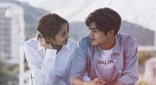 娱乐圈吃瓜网友小说,瓜田里的秘密花园